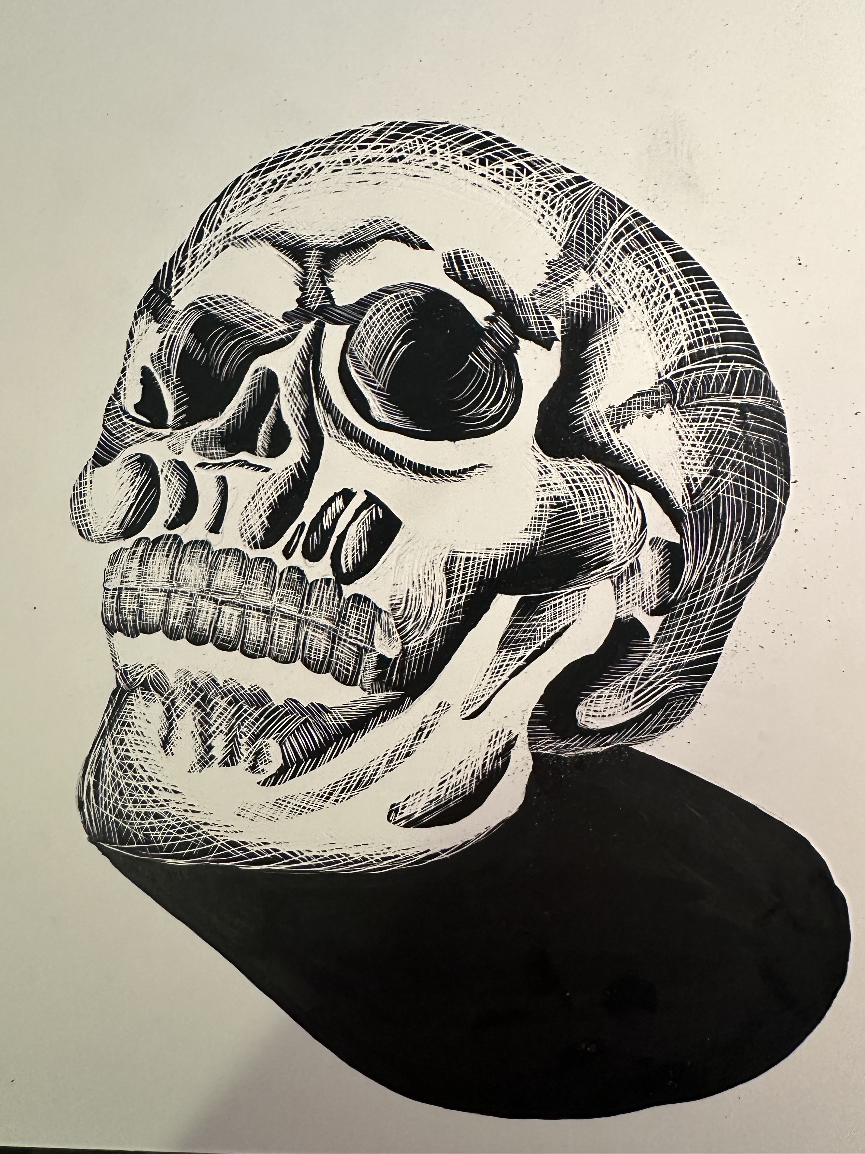 Skull